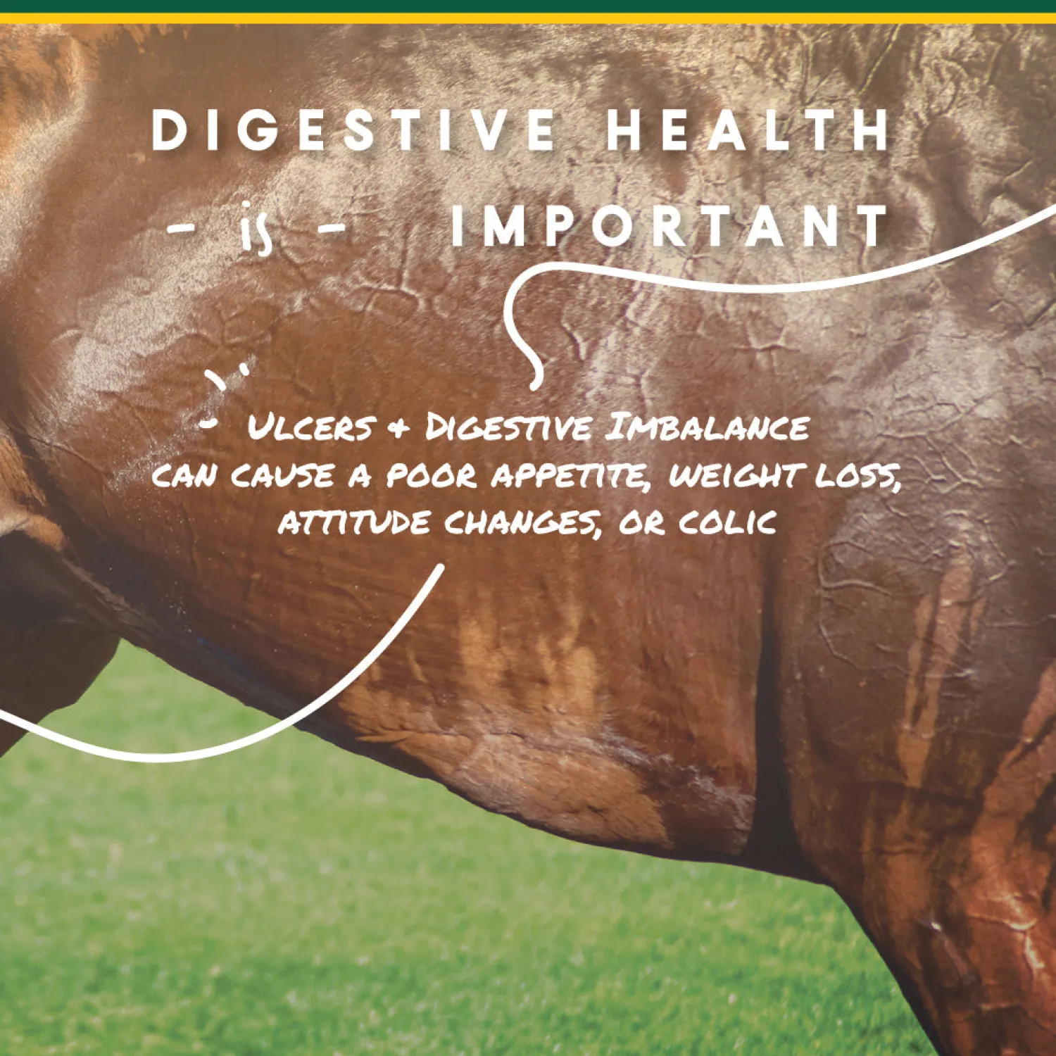 ANIMAL HEALTH INT Manna Pro® Corta-Flx® U-Gard™ Pellets, 4 Pounds