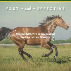 ANIMAL HEALTH INT Manna Pro® Corta-Flx® U-Gard™ Pellets, 4 Pounds