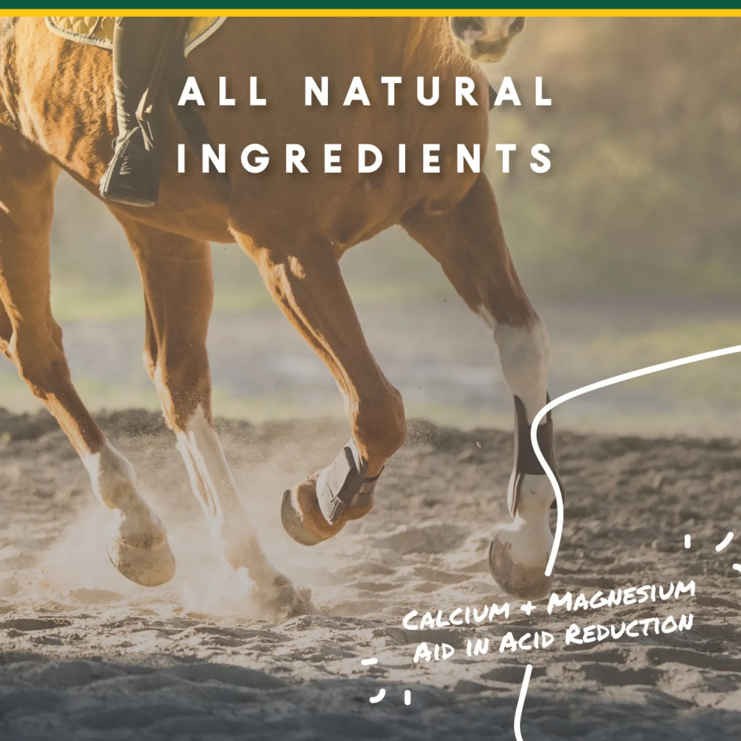 ANIMAL HEALTH INT Manna Pro® Corta-Flx® U-Gard™ Pellets, 4 Pounds