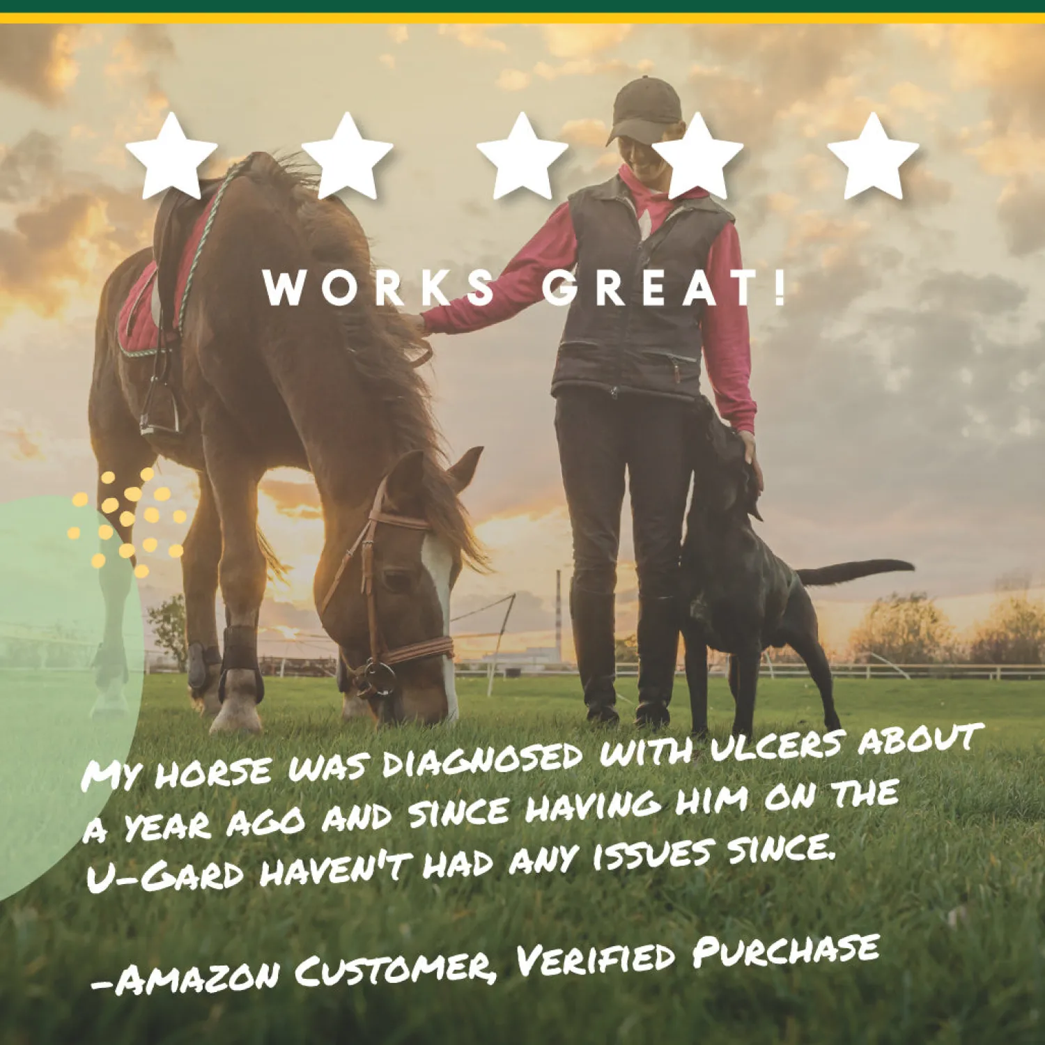 ANIMAL HEALTH INT Manna Pro® Corta-Flx® U-Gard™ Pellets, 4 Pounds