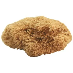 JACKS MFG Natural Sea Sponges Best