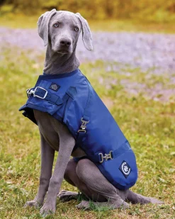 CWEAR BRANCH NorthWind™ Dog Turnout Blanket Discount