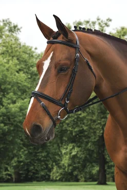 ERS Ovation® Comfort Crown Dressage Bridle Black Discount