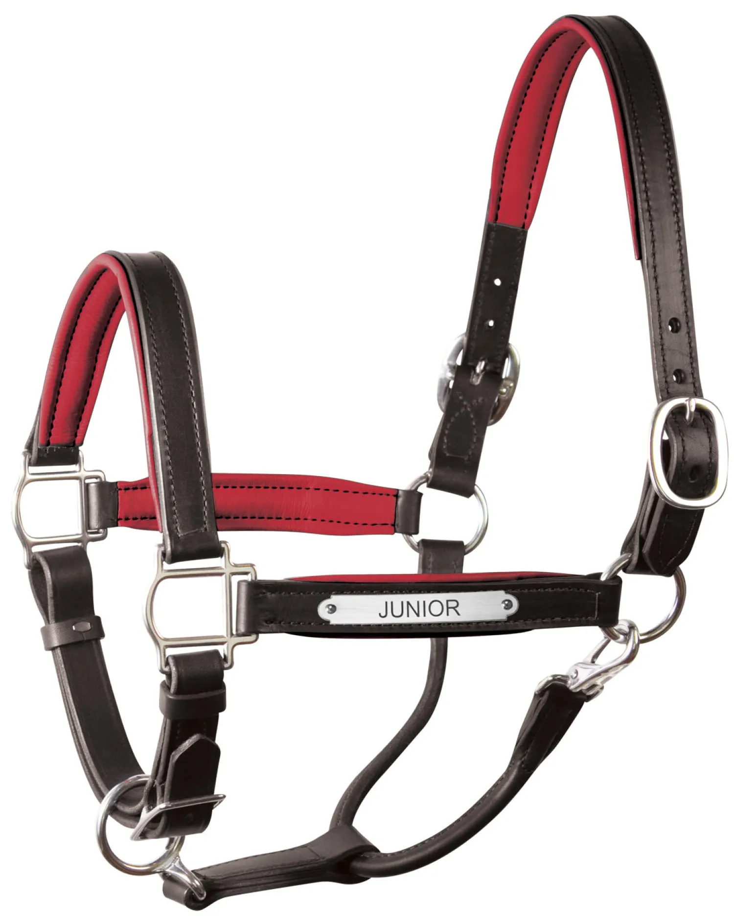 PERRIS LEATHER Perri’s® 1" Padded Leather Halter with Nameplate Online