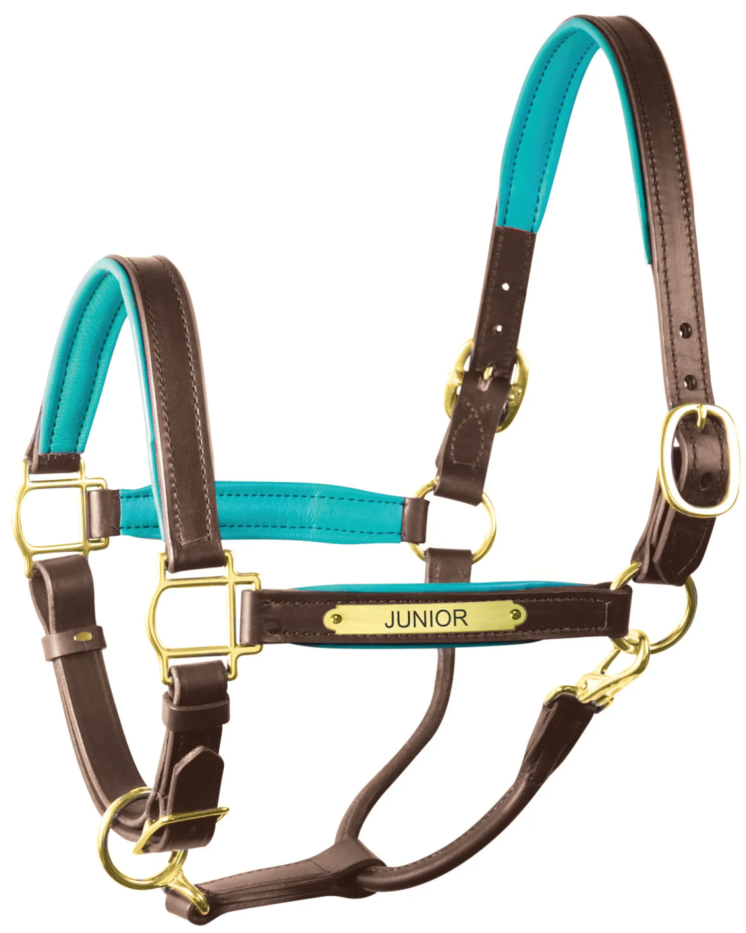 PERRIS LEATHER Perri’s® 1" Padded Leather Halter with Nameplate Online