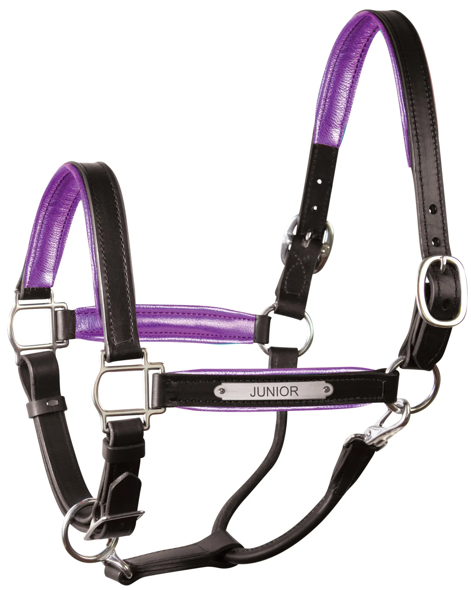 PERRIS LEATHER Perri’s® 1" Padded Leather Halter with Nameplate Online