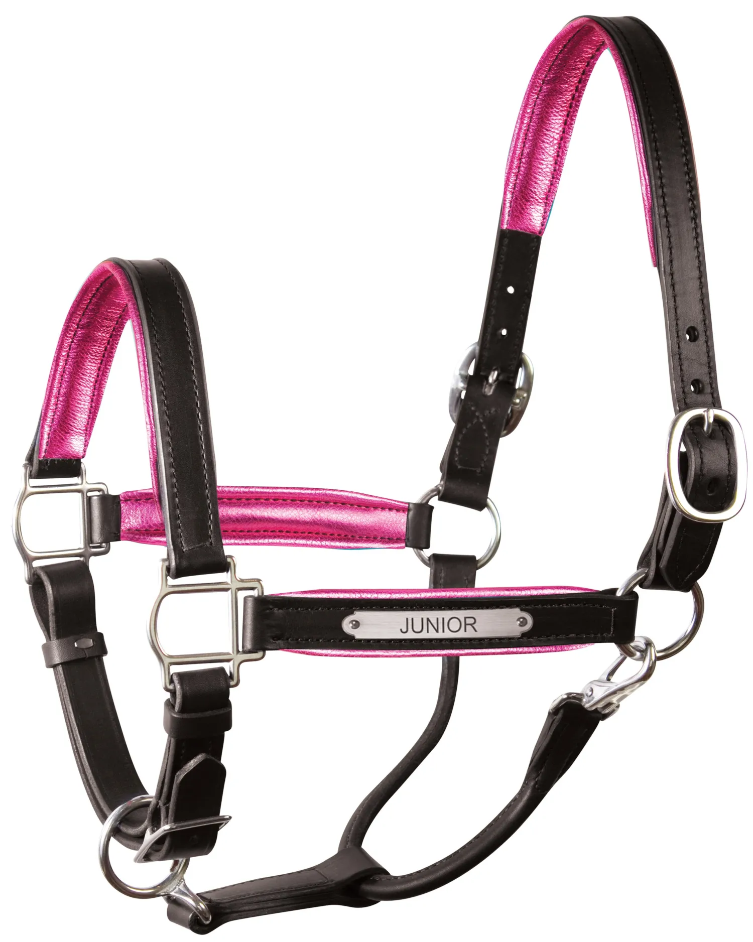 PERRIS LEATHER Perri’s® 1" Padded Leather Halter with Nameplate Online