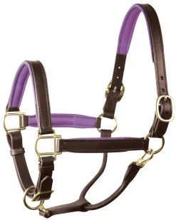 PERRIS LEATHER Perri’s® 1" Padded Leather Halter Sale