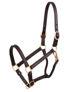 PERRIS LEATHER Perri’s® 3/4" Premium Leather Show Halter Havana Best