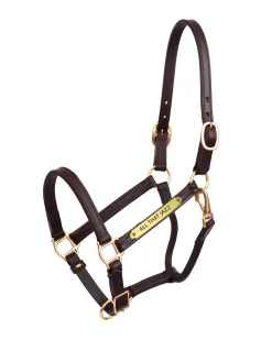 PERRIS LEATHER Perri’s® 3/4" Premium Leather Show Halter with Nameplate Clearance