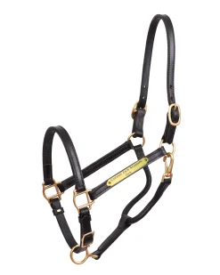PERRIS LEATHER Perri’s® 3/4" Premium Leather Show Halter with Nameplate Clearance