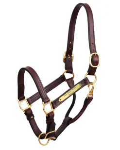 PERRIS LEATHER Perri’s® 1" XL Stallion Premium Leather Show Halter with Nameplate Outlet