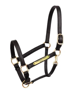 PERRIS LEATHER Perri’s® Draft Leather Turnout Halter Discount