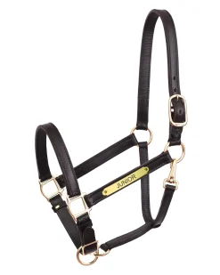 PERRIS LEATHER Perri’s® Draft Leather Turnout Halter Discount