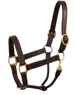 PERRIS LEATHER Perri’s® Heavy-Duty Track Halter with Snap Havana New