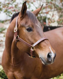 PERRIS LEATHER Perri’s® Horse Professional Show Halter