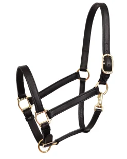PERRIS LEATHER Perri’s® Leather Turnout Draft Halter Online