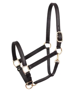 PERRIS LEATHER Perri’s® Leather Turnout Draft Halter Online