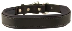 PERRIS LEATHER Perri’s® Padded Leather Nameplate Dog Collar Best