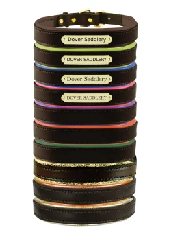 PERRIS LEATHER Perri’s® Padded Leather Nameplate Dog Collar Best