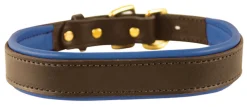 PERRIS LEATHER Perri’s® Padded Leather Nameplate Dog Collar Best