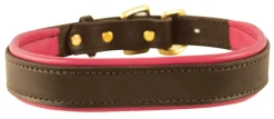 PERRIS LEATHER Perri’s® Padded Leather Nameplate Dog Collar Best