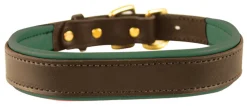 PERRIS LEATHER Perri’s® Padded Leather Nameplate Dog Collar Best