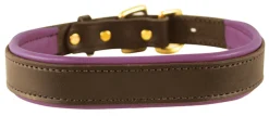 PERRIS LEATHER Perri’s® Padded Leather Nameplate Dog Collar Best