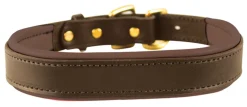PERRIS LEATHER Perri’s® Padded Leather Nameplate Dog Collar Best