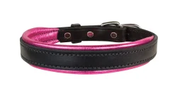 PERRIS LEATHER Perri’s® Padded Leather Nameplate Dog Collar Best