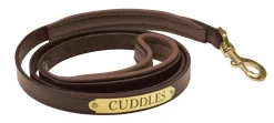 PERRIS LEATHER Perri’s® Padded Leather Nameplate Dog Leash Online