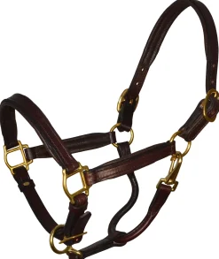 PERRIS LEATHER Perri’s® Padded Leather Pony Halter Sale