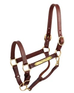 PERRIS LEATHER Perri’s® Premium 1" Leather Show Halter with Nameplate Best