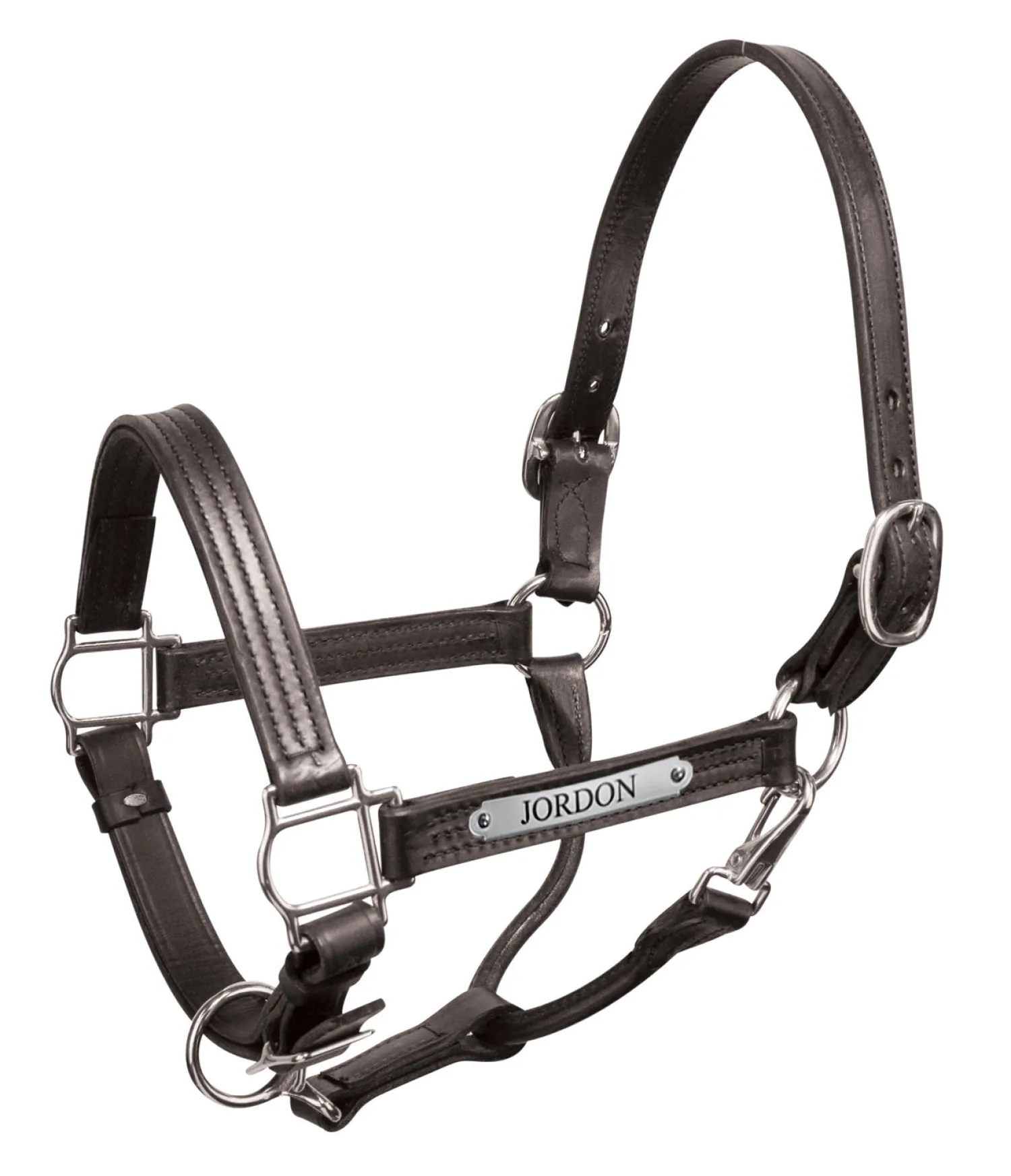 PERRIS LEATHER Perri’s® Premium 1" Leather Show Halter with Nameplate Best