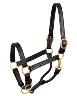 PERRIS LEATHER Perri’s® Premium Leather XL Show Halter Hot