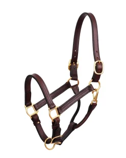 PERRIS LEATHER Perri’s® Premium Leather XL Show Halter Hot