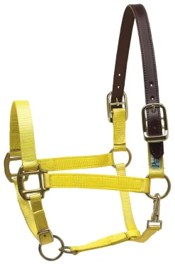 PERRIS LEATHER Perri’s® Premium Nylon Breakaway Halter Online