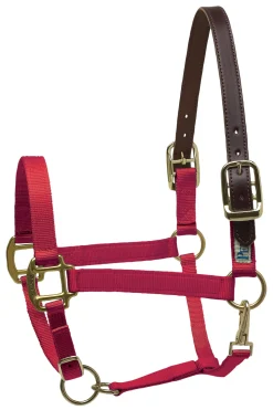 PERRIS LEATHER Perri’s® Premium Nylon Breakaway Halter Online