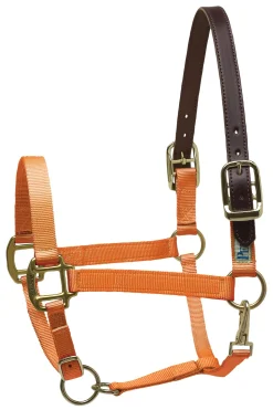PERRIS LEATHER Perri’s® Premium Nylon Breakaway Halter Online