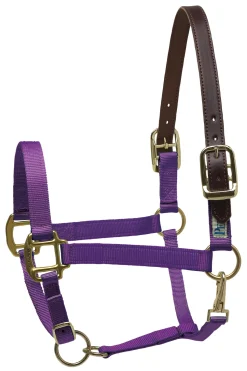 PERRIS LEATHER Perri’s® Premium Nylon Breakaway Halter Online