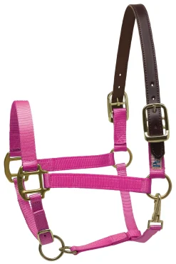 PERRIS LEATHER Perri’s® Premium Nylon Breakaway Halter Online