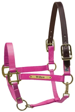 PERRIS LEATHER Perri’s® Premium Nylon Safety Halter with Nameplate Outlet