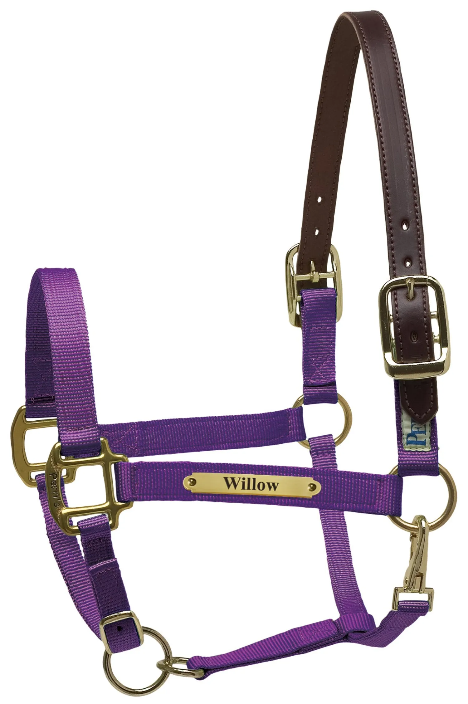 PERRIS LEATHER Perri’s® Premium Nylon Safety Halter with Nameplate Outlet
