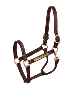 PERRIS LEATHER Perri’s® Professional Halter with Nameplate Best