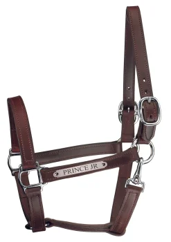 PERRIS LEATHER Perri’s® Track Style Leather Turnout Halter with Snap Throat and Nameplate Outlet
