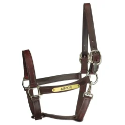 PERRIS LEATHER Perri’s® Track Style Leather Turnout Halter with Snap Throat and Nameplate Outlet
