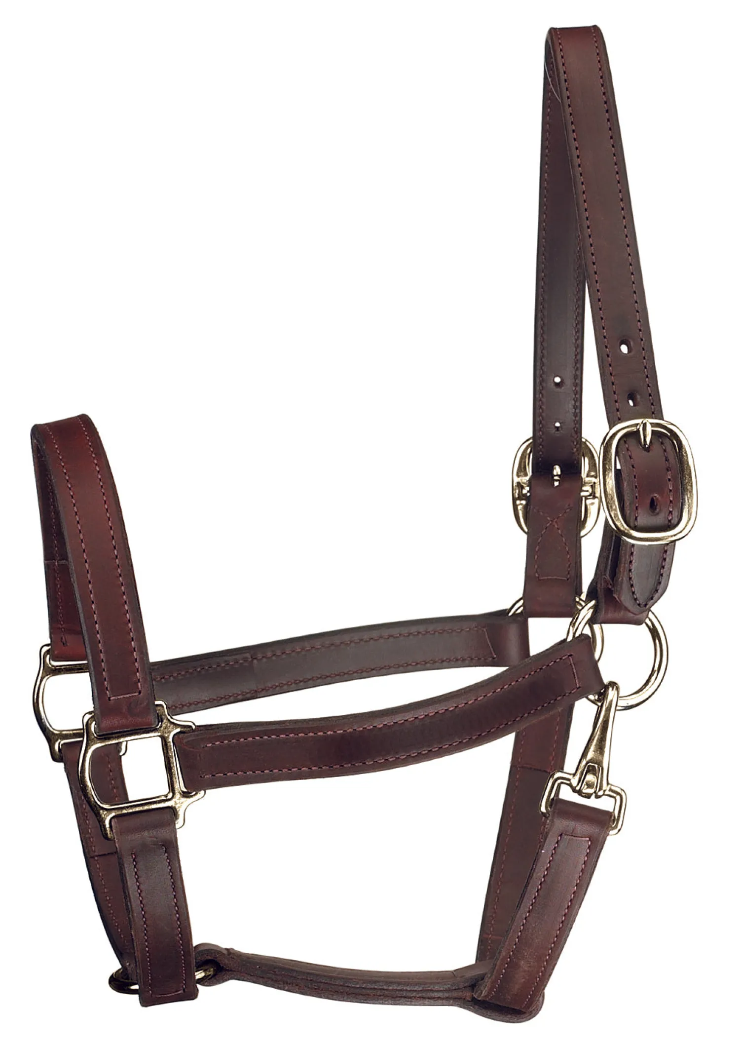 PERRIS LEATHER Perri’s® Track Style Turnout Halter with Snap Discount