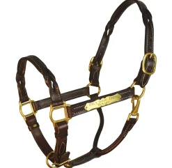 PERRIS LEATHER Perri’s® Twisted Leather Halter with Nameplate Havana New