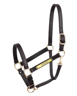 PERRIS LEATHER Perri’s® Yearling Leather Turnout Halter Havana Online