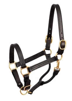 PERRIS LEATHER Perri’s® Premium Leather Show Halter Clearance